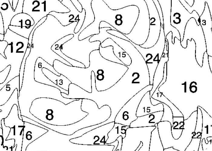 Intermediate detail